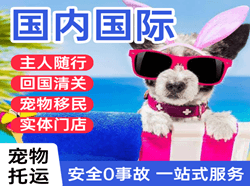 首都航空托运国际宠物托运 【国